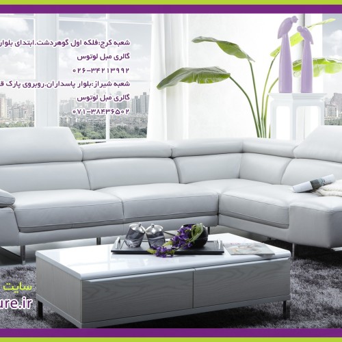 باشگاه مشتریان زئوس